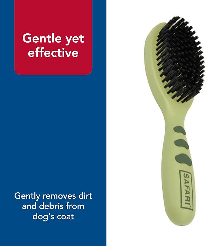 Coastal Pet Safari Bristle Dog Brush, Brush, Small (8" L x 2" W)