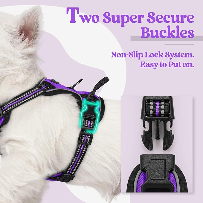 rabbitgoo Dog Harness, No-Pull Pet Harness with 2 Leash Clips, Adjustable Soft Padded Dog Vest, Reflective No-Choke Pet Oxford Vest with Easy Control Handle for Small Dogs, Purple,XS