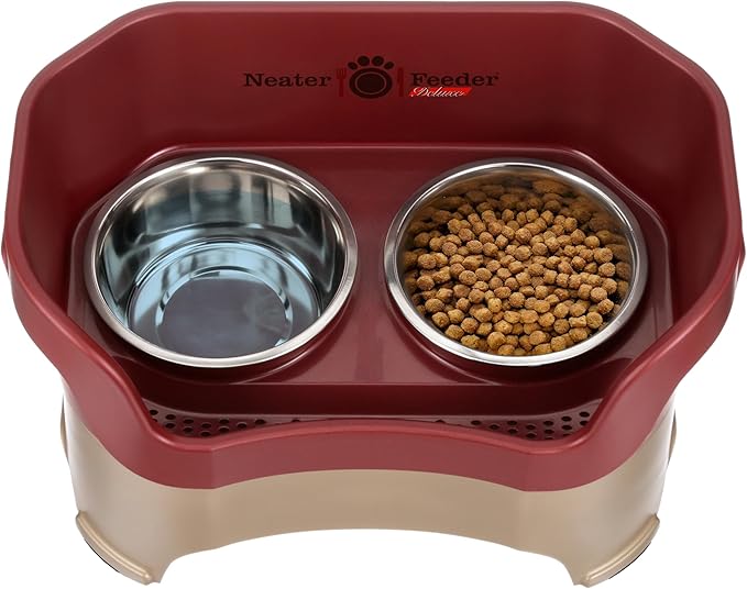 Neater Feeder Deluxe Mess Proof Dog Bowls Elevated for Large Breed – Made in USA – No Spill Raised Dog Food Bowl Stand – Stainless Steel Food and Water Bowl Set, Pet Dish Feeding Station, Cranberry