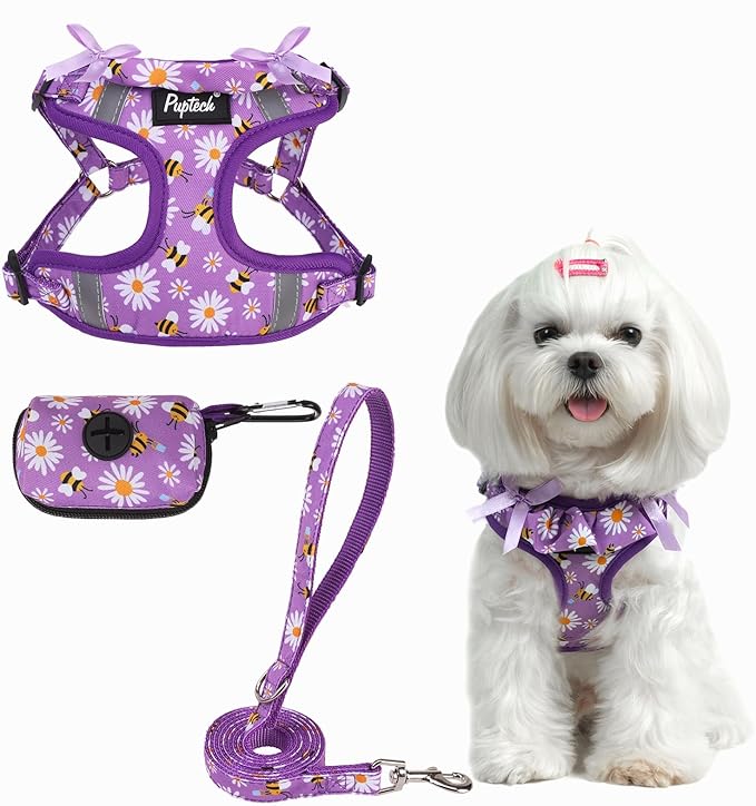 PUPTECK No Pull Dog Harness and Leash Set Reflective No Choke Step in Puppy Halter for XS Small and Medium Sized Dogs, Purple, Printed Fabric, S