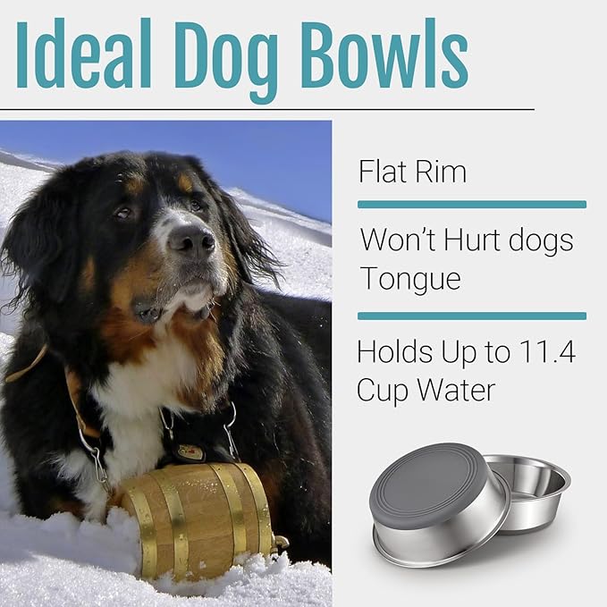 PEGYY11 Nonslip Stainless Steel Dog Bowls, 11.4 US Cup, 2 Count