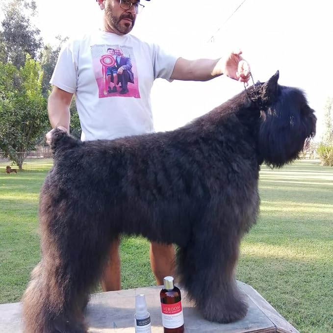 iGroom Dog Shampoo + Dog Conditioner Groomers Bundle - Vavoom Volumizing Dog Shampoo, Add Body and Volume, 16 oz - Pro-Keratin Leave-in Dog Conditioner, Excellent Detangling, 16 oz