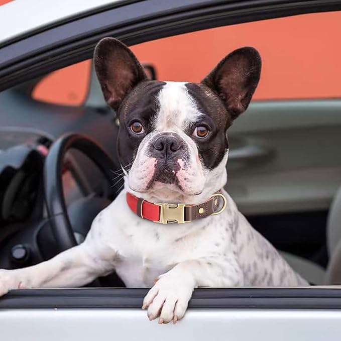 Didog Soft Padded Leather Dog Collars for Small Dogs, Classic Heavy Duty Dog Collar with Quick Release Metal Buckle, Adjustable Small Dog Collar Leather,Red,S