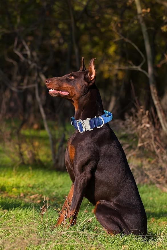 Tactical Military Dog Collar, Strong Heavy Duty Dog Collar, Wide Thick Dog Collar with Handle, Soft Neoprene Padded Collar with Quick Release Metal Buckle for Medium Large Dogs (Blue, M)