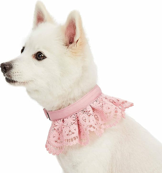 Blueberry Pet Floral Lace Adjustable Dog Collar in Baby Pink with Metal Buckle, Neck 9-12.5", for Small Breed