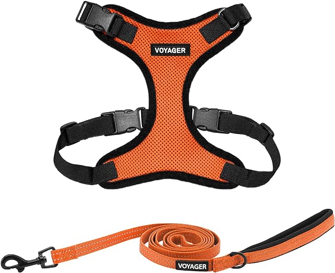 Voyager Step-in Lock Dog Harness w Reflective Dog Leash Combo Set with Neoprene Handle 5ft - Supports Small, Medium and Large Breed Puppies/Cats by Best Pet Supplies - Orange/Black Trim, XS
