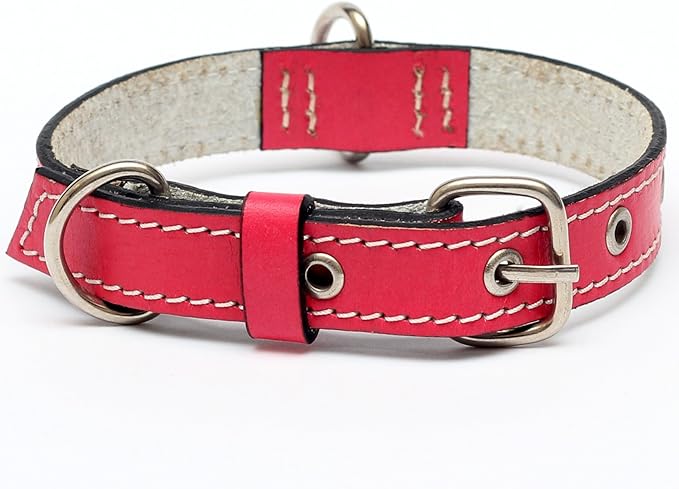 Premium Leather Collars with Stainless Steel Buckles (9"-12", Pink)
