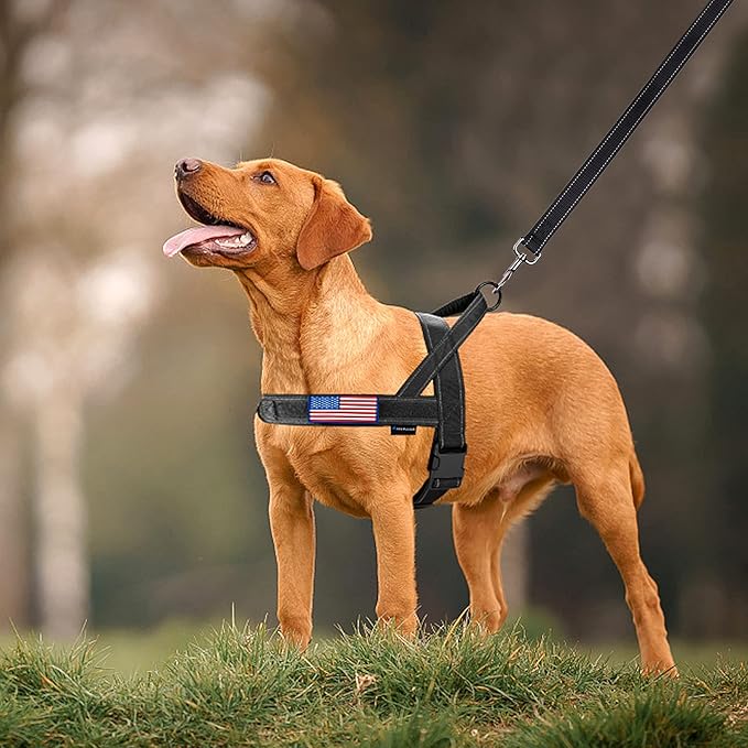 Annchwool No Pull Dog Harness with Padded Handle+5 Ft Leash,Reflective Strip Escape Proof and Quick Fit to Adjust Dog Harness,Easy for Training Walking for Small & Medium and Large Dog(Black-Set,L)