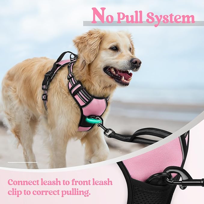 rabbitgoo No-Pull Pet Harness with 2 Leash Clips, Adjustable Soft Padded, Reflective No-Choke Pet Oxford Vest with Easy Control Handle for Large Dogs, Pink, L