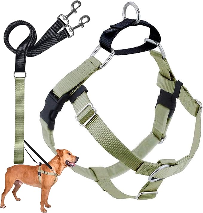 2 Hounds Design Freedom No Pull Dog Harness | Comfortable Control for Easy Walking |Adjustable Dog Harness and Leash Set | Small, Medium & Large Dogs | Made in USA | Solid Colors | 1" LG Tan