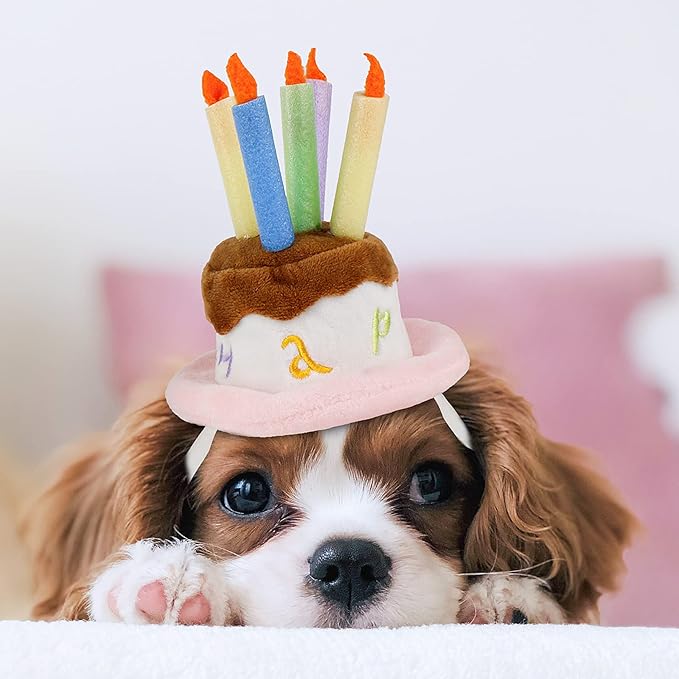 Namsan Cat Birthday Hat, Valentine Hat for Cats Small Dogs, Lucky Cat Birthday Cake Costume, Puppy Party Supplies, Small, Pink