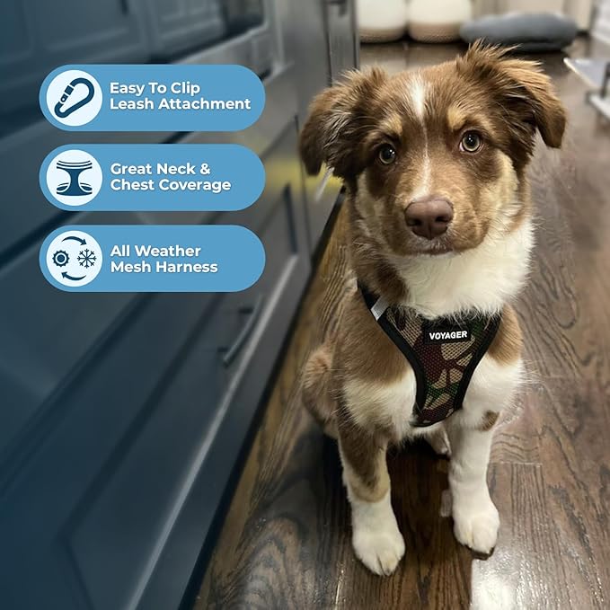 Voyager Step-in Air Dog Harness - All Weather Mesh, Reflective, No Pull Harness for Small, Medium Dogs, Cats - Secure with Hook & Loop Fastener, Buckle, Double D-Rings - Army/Black Trim, L