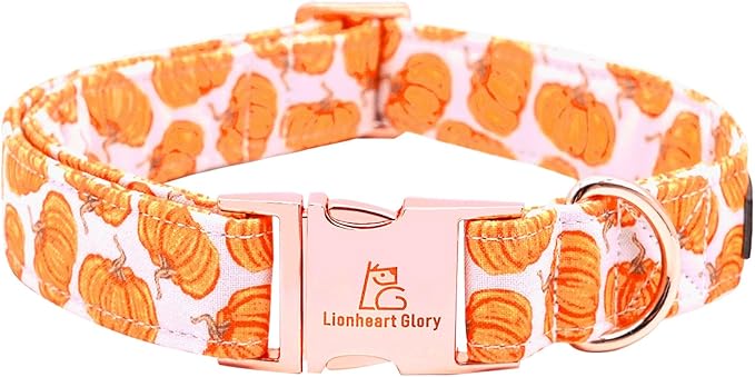 Lionheart glory Halloween Dog Collars Pumpkin Dog Collar Heavy Duty Adjustable Fall Dog Collar for Large Collar Dog Female or Male Dog Collar
