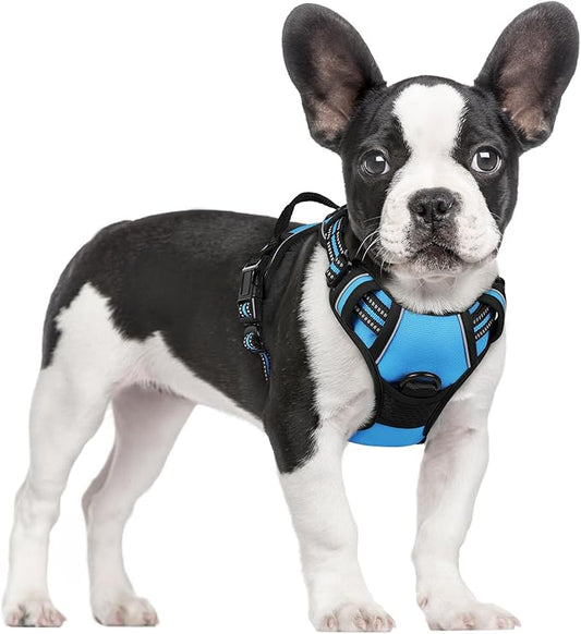 rabbitgoo Dog Harness, No-Pull Pet Harness with 2 Leash Clips, Adjustable Soft Padded Dog Vest, Reflective No-Choke Pet Oxford Vest with Easy Control Handle for Small Dogs, Blue, S