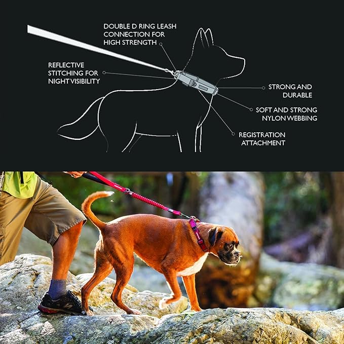 EzyDog Double Up Premium Nylon Dog Collar with Reflective Stitching - Double D-Rings for Superior Strength, Safety, and Comfortability - Non-Rusting and Includes an ID Attachment (Small, Black)