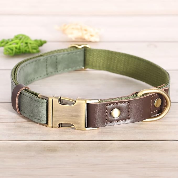 Didog Soft Padded Leather Dog Collars for Medium Dogs, Classic Heavy Duty Dog Collars with Quick Release Metal Buckle, Adjustable Medium Dog Collar Leather,Green,M