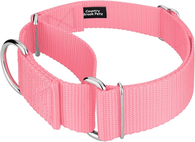 Country Brook Petz 1 1/2 Inch Martingale Heavy Duty Nylon Adjustable Dog Collar for Small, Medium, Large Breeds - Vibrant 17 Color Selection (Pink, Medium)