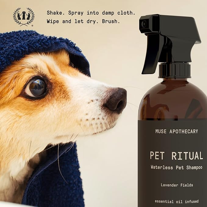 Muse Apothecary Pet Ritual Aromatic Waterless Pet Shampoo - No Rinse Dog Shampoo - Waterless Dog Shampoo for Large Dogs - Essential Oils Infused, 16oz Fresh Bouquet