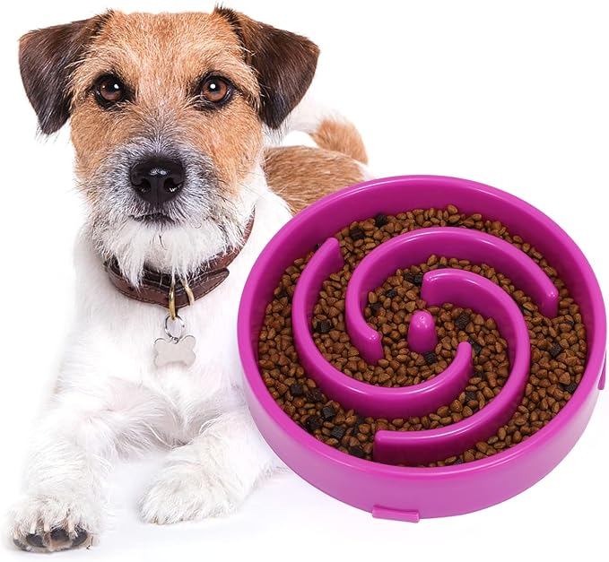 WHIPPY Slow Feeder Bowl for Small Medium Dog Fun Maze Feeder Dog Food Water Bowl Anti-Slip Puzzle Bowl No Chocking Healthy Interactive Bloat Stop Dog Bowl Dish,Medium,Purple
