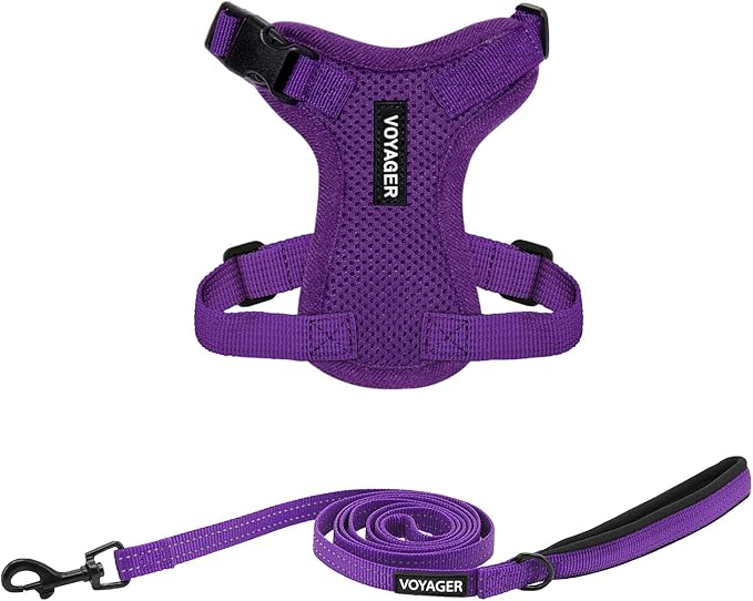 Voyager Step-in Lock Adjustable Cat Harness w. Cat Leash Combo Set with Neoprene Handle 5ft - Supports Small, Medium and Large Breed Cats by Best Pet Supplies - Purple, XXS
