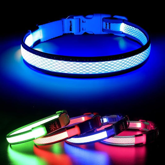 BSEEN Light Up Dog Collars - Reflective LED Dog Collar, Rechargeable Puppy Collar for Small Dogs, Glow in The Dark Dog Camping Gear, Flashing Dog Lights for Night Walking (Small, Blue)