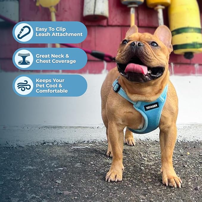 Best Pet Supplies Voyager Adjustable Dog Harness Leash Set with Reflective Stripes for Walking Heavy-Duty Full Body No Pull Vest with Leash D-Ring, Breathable All-Weather - Harness (Baby Blue), S
