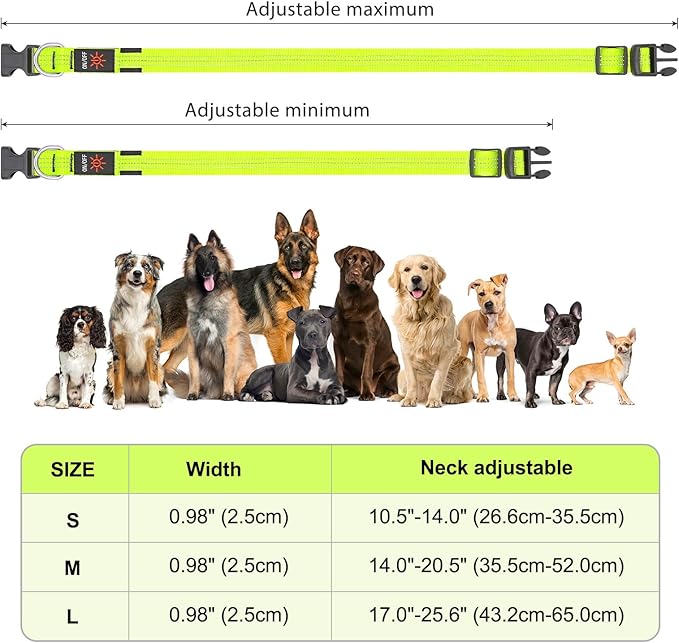 BSEEN Light Up Dog Collar - Glowing LED Dog Collar, Reflective Dog Collar, Adjustable Lighted Dog Collar, Rechargeable Puppy Collar for Night Walking (Green-II, Small)