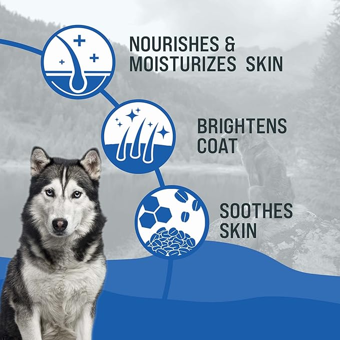 Dr. Boe's Veterinary Essentials BrilliantCoat Whitening Shampoo & Conditioner for Dogs & Cats – with Colloidal Oatmeal, Piña Colada Scent - Brightens & Hydrates Coat, Moisturizes Skin - 12 Fl Oz.