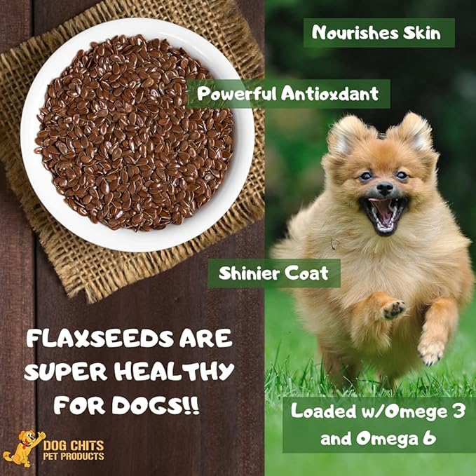 Dog Chits Lamb and Flaxseed Soft Chew for Dogs - Dog and Puppy Chews | Made in USA | USA Lamb | All Natural Treats | Large and Small Dogs | Rich in Omega 3 and 6 Flaxseeds | 4 oz.