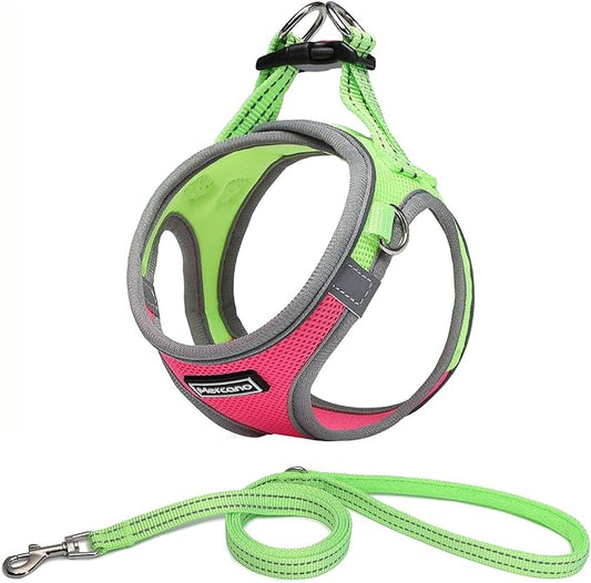Mercano Soft Mesh Dog Harness and Leash Set, No-Chock Step-in Reflective Breathable Lightweight Easy Walk Escape Proof Vest Harnesses with Safety Buckle for Small Medium Dogs, Cats (S, Hot Pink)