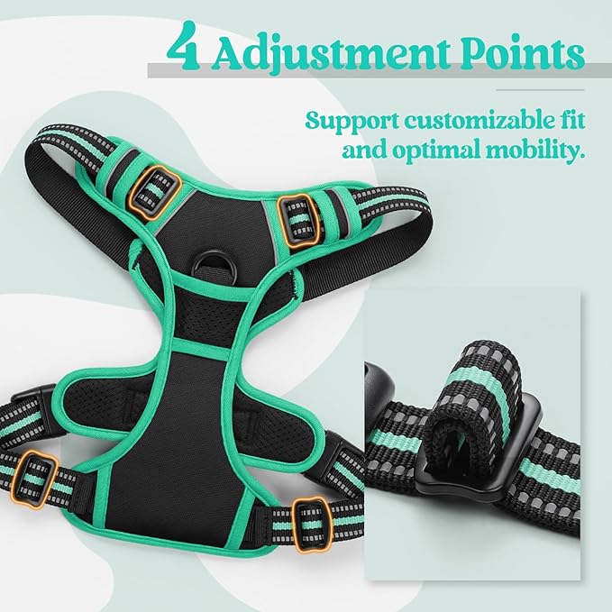 rabbitgoo Dog Harness, No-Pull Pet Harness with 2 Leash Clips, Adjustable Soft Padded Dog Vest, Reflective No-Choke Pet Oxford Vest with Easy Control Handle for Large Dogs, Black & Turquoise, L