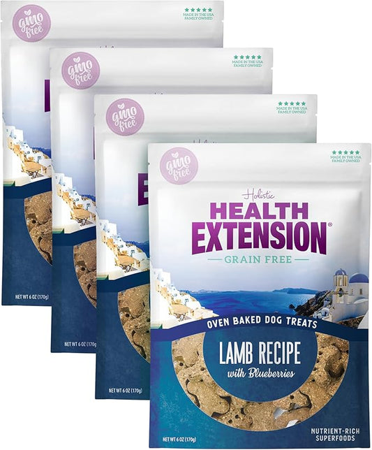 Health Extension Oven-Baked Dog Treats, 6oz (170g), Lamb & Blueberry Recipe – Gluten & Grain-Free, Superfood-Infused, Crunchy Biscuits for Puppy Training (Pack of 4)