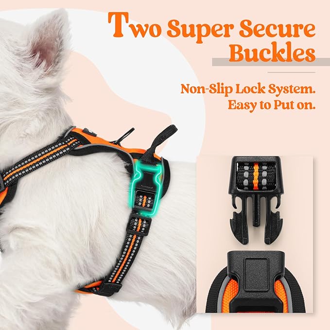 rabbitgoo Dog Harness, No-Pull Pet Harness with 2 Leash Clips, Adjustable Soft Padded Dog Vest, Reflective No-Choke Pet Oxford Vest with Easy Control Handle for Small Dogs, Orange,XS