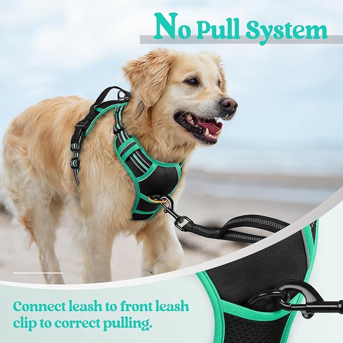 rabbitgoo Dog Harness, No-Pull Pet Harness with 2 Leash Clips, Adjustable Soft Padded Dog Vest, Reflective No-Choke Pet Oxford Vest with Easy Control Handle for Large Dogs, Black & Turquoise, M
