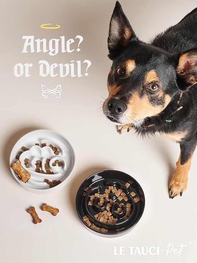 LE TAUCI Ceramic Slow Feeder Dog Bowls Elevated, 0.6 Cups Raised Dog Bowl with Wooden Stand for Small Breed, Dog Dishes to Slow Down Eating, Puzzle Dog Food Bowl, Angel White