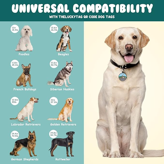 Upgraded Personalized Dog Tags Engraved with 3D QR Code for Dogs Cat Collar - Silicone Silent Pet Tag - Create Online Profile No APP Requirement (Green-Mountain-Black QR)