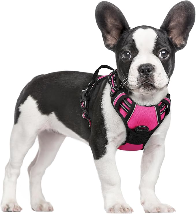 rabbitgoo Dog Harness, No-Pull Pet Harness with 2 Leash Clips, Adjustable Soft Padded Dog Vest, Reflective No-Choke Pet Oxford Vest with Easy Control Handle for Small Dogs, Hot Pink, S