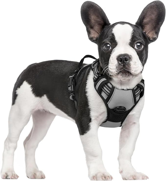 rabbitgoo Dog Harness, No-Pull Pet Harness with 2 Leash Clips, Adjustable Soft Padded Dog Vest, Reflective No-Choke Pet Oxford Vest with Easy Control Handle for Small Dogs, Grey, S
