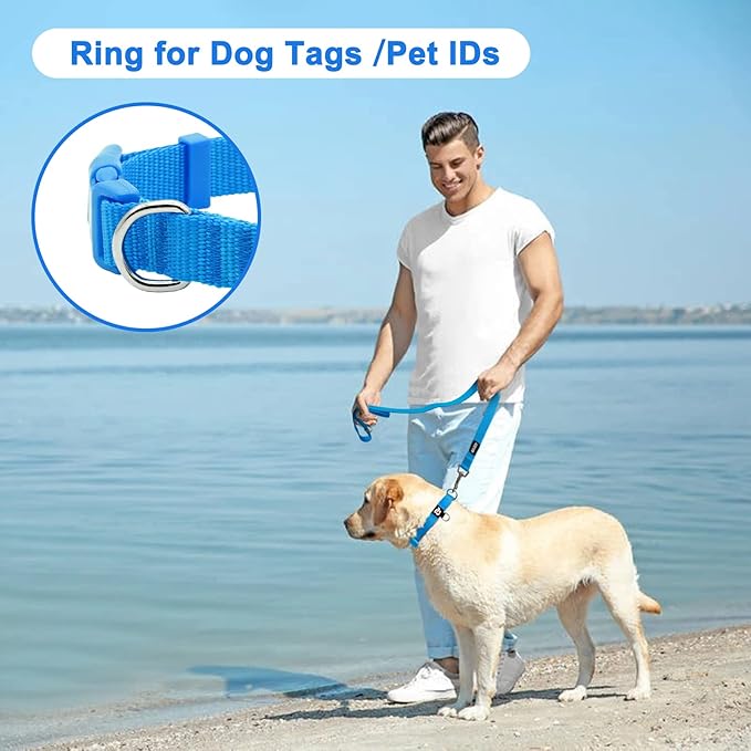 azuza 3 Pack Dog Collars Comfortable and Adjustable Nylon Dog Collars for Medium Dogs, M (14-20inch)，Green, Blue and Royal Blue