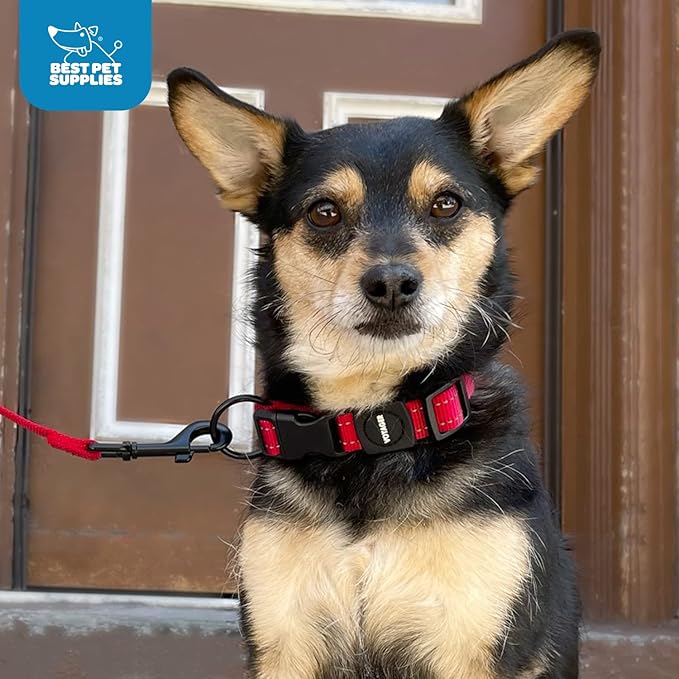 Best Pet Supplies Reflective Dog Collar with Adjustable Length, Heavy-Duty Buckle, and Strong Leash D-Ring, Training, Walking, Jogging Accessory for Small, Medium, and Large Breeds - Royal Blue, L