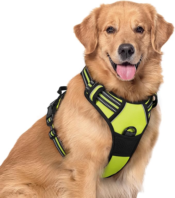 rabbitgoo Dog Harness, No-Pull Pet Harness with 2 Leash Clips, Adjustable Soft Padded Dog Vest, Reflective No-Choke Pet Oxford Vest with Easy Control Handle for Large Dogs, Wild Lime, XL