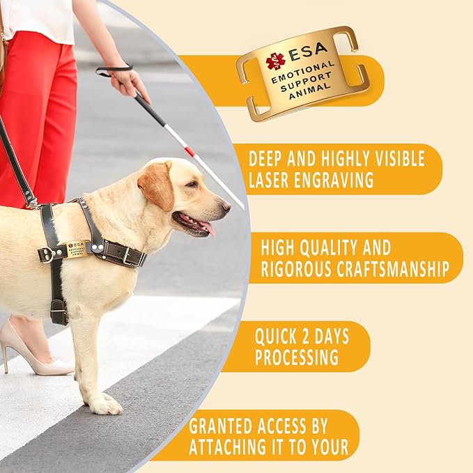 No Noise Stainless Steel K9 ESA Dog Tags, Slide on Dog Collar or Harness Quickly and Securely – PVD Gold/Small