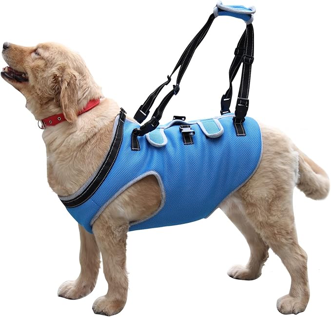 Dog Lift Harness, Recovery Sling Support Vest Stair Lift for Front Legs Only, Mobility Carrier with Handle for Senior, Elderly, Disabled, Joint Injuries, Arthritis, Paralysis- Large