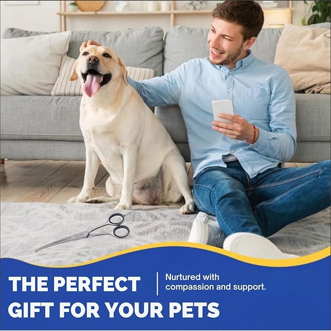 Dog Grooming Scissors, Hair Cutting Shears with Ball Tip Curved,Grooming Scissor for Pet, Scissors for Dogs,Safety Round Tips, Barber Supplies Pet and Saloon Use (Ball CVD 6.5)