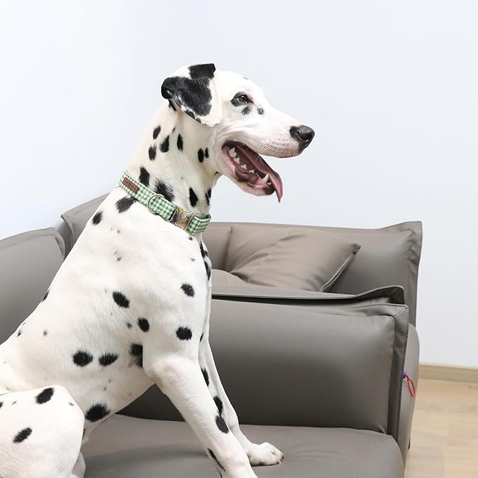 Lionet Paws Dog Collar, Comfortable Adjustable Cute Collar with Metal Buckle for Male Female Dogs Gift, Green&White Grid Pattern, Medium, Neck 13.5-22 inches