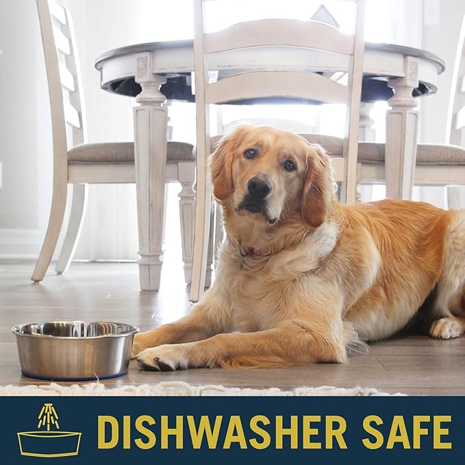 OurPet's Durapet Stainless Steel Bowl, 4 Cups, 6.9''X6.9''X2.5''