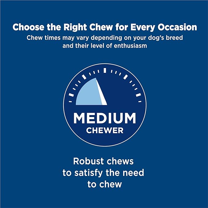 Barkworthies Odor-Free 6-inch Bully Sticks (5 Pack) - Healthy Dog Chews - Protein-Packed, Easily digestible, All-Natural Rawhide Alternative Dog Treats - Promotes Dental Health