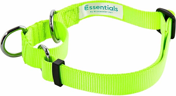 Blueberry Pet Essentials Martingale Safety Training Dog Collar, Highlighter Yellow, Medium, Heavy Duty Nylon Adjustable Collars for Dogs