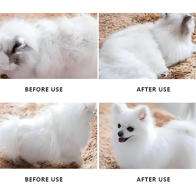 Big G Dog Slicker Brush for Professional Grooming - Fluff, Detangle & Style Goldendoodles, Labradoodles, Poodles & Long-Haired Dogs - Large Coral Curved Brush, Saves Time & Energy