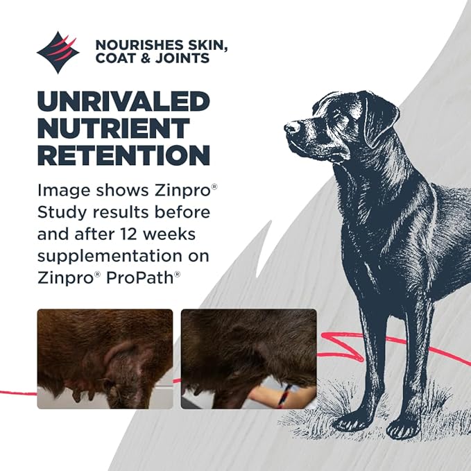 Blackwood Grain Free Dry Dog Food, Salmon & Field Pea Recipe, 4.5 Pound Bag for All Life Stages, Slow Cooked with Vitamins & Minerals for a Balanced Diet